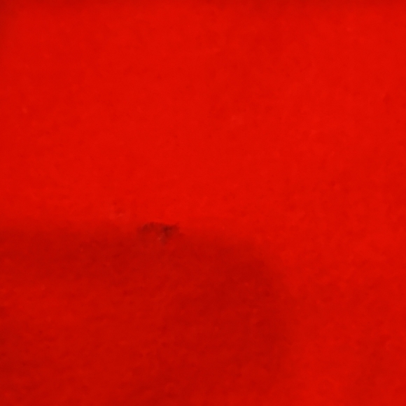 Talbot's Italian Flannel Red Dress - Picture 9 of 9